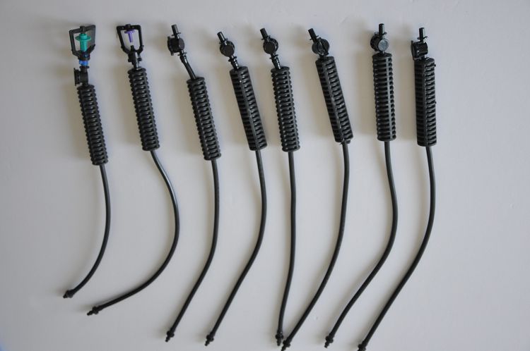 ����΢��