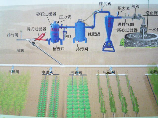 ɰʯ��������װͼƬ